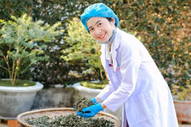 Từ bỏ công việc mơ ước, cô giáo ở Đắk Lắk thành danh nhờ "giải phẫu" trái bơ