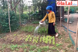 Niềm vui từ hệ thống cấp nước sinh hoạt ở Đất Bằng