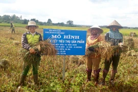 Ia Grai phát huy hiệu quả Quỹ hỗ trợ nông dân
