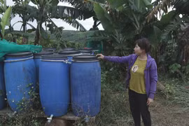 Những người 'khùng' làm nông