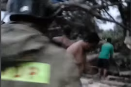 Sóc Trăng: Cây điệp ngã đè 2 bà cháu tử vong