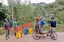 Huyện Tu Mơ Rông kiến nghị giải pháp để người dân thực sự hưởng lợi từ trồng rừng