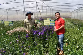 Xây dựng nông thôn mới trên nền tảng công nghệ số