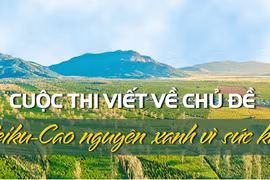 Thể lệ Cuộc thi viết về chủ đề Pleiku-Cao nguyên xanh vì sức khỏe và Ảnh đẹp Pleiku năm 2023