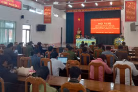 Mang Yang trồng hơn 250 ha rừng trong năm 2022