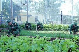 Đồn Biên phòng Ia O "thực túc, binh cường"