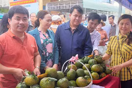Phiên chợ nông sản an toàn huyện Đak Đoa: Mở rộng quảng bá, kết nối tiêu thụ sản phẩm