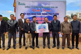 Pleiku tiếp nhận 300 cây hoa anh đào trồng tại khu đô thị suối Hội Phú