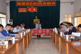 Đoàn đại biểu Quốc hội tỉnh Gia Lai giám sát tại Sở Tài chính