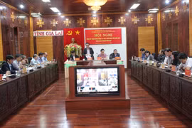 Gia Lai: Giá trị sản xuất nông lâm thủy sản tăng cao