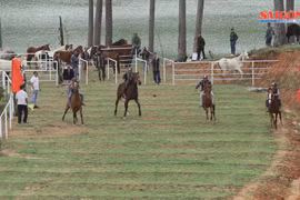 Sôi động giải đua ngựa không yên ở Lạc Dương – Lâm Đồng