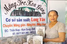 Người dân Kon Gang thoát nghèo nhờ trồng tre lấy măng