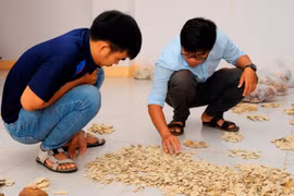 Phát hiện thêm nhiều di tích khảo cổ học tiền sử