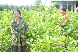 Anh nông dân làng O Pếch "lấy ngắn nuôi dài" để làm giàu