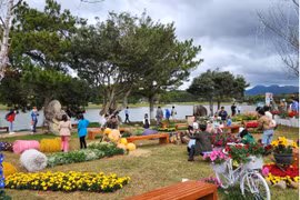 Hoa Đà Lạt xuống phố, du khách tấp nập thưởng lãm