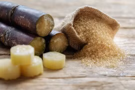 Giấc mơ về những hạt đường