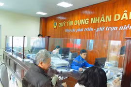 Thủ tướng Chính phủ yêu cầu tăng cường thanh tra, giám sát toàn diện hoạt động của Quỹ tín dụng nhân dân