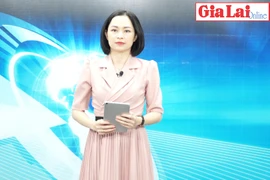 Gia Lai 48h: Phê duyệt kế hoạch thanh tra, kiểm tra doanh nghiệp, hợp tác xã, hộ kinh doanh