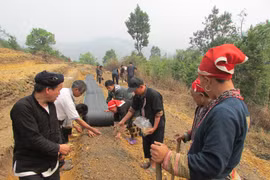 Khám phá thảo dược Việt: Cuộc đua trồng thảo dược