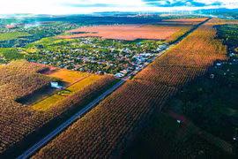 Nao lòng Tây Nguyên mùa thay lá