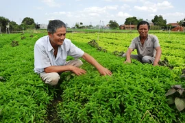 Gia Lai rà soát lại hệ thống chỉ tiêu kinh tế-xã hội để thống nhất cách tính theo quy định