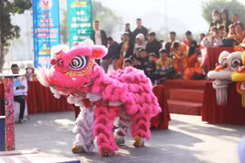 Đại hội Thể thao toàn quốc lần thứ IX-2022: Đặc sắc môn lân-sư-rồng