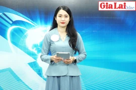 Gia Lai 48h: Gia Lai có 3 doanh nghiệp được vinh danh trong top 100 doanh nghiệp bền vững