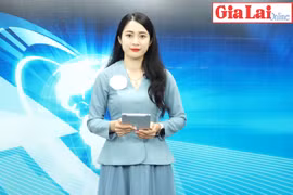 Gia Lai 48h: Gia Lai có 3 doanh nghiệp được vinh danh trong top 100 doanh nghiệp bền vững