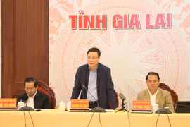 Gia Lai: Gần 1000 doanh nghiệp thành lập mới trong năm 2022