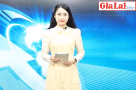 Gia Lai 48h: Nỗ lực hoàn thành chỉ tiêu, nhiệm vụ năm 2022