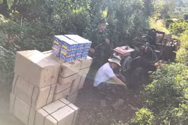 Đak Nông: Đối tượng mua 420 kg pháo nổ bị khởi tố, bắt giam