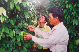 Chuyện ít biết về vị Vua Nước cuối cùng