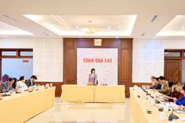 Phó Chủ tịch UBND tỉnh Gia Lai Nguyễn Thị Thanh Lịch: Tháo gỡ ngay việc thiếu thuốc và vật tư y tế