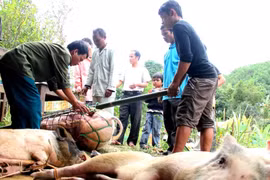 Trường Sơn ký sự: Bi hài 'đòi của'