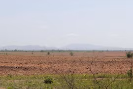 Đắk Lắk khan hiếm nước sản xuất: Gần 11.000 hộ dân thiếu nước sản xuất