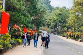 Phục hồi ngành Du lịch sau đại dịch Covid-19