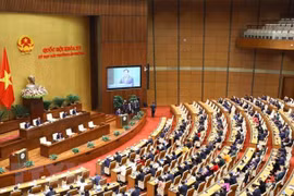 Kỳ họp bất thường lần thứ 2, Quốc hội khóa XV: Thảo luận về dự án Luật Khám bệnh, chữa bệnh (sửa đổi)