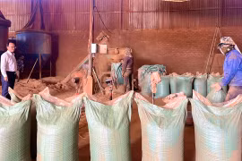 Cụm Công nghiệp-Tiểu thủ công nghiệp Chư Păh: Kỳ vọng các dự án mới