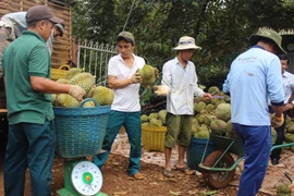 Bí thư Tỉnh ủy Đắk Lắk Nguyễn Đình Trung giao nhiệm vụ cho ngành nông nghiệp tỉnh tại Hội nghị tổng kết