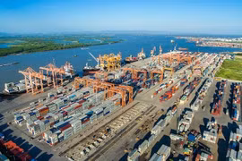 Chính phủ ban hành 15 Nghị định quy định Biểu thuế nhập khẩu ưu đãi đặc biệt