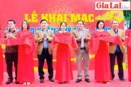 Ấn tượng Hội báo Xuân Quý Mão 2023