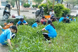 Ý nghĩa lớn từ mô hình nhỏ