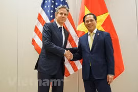 Ngoại giao Việt Nam năm 2022: Phát huy mạnh mẽ bản sắc "Cây tre Việt"