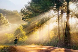 Bâng khuâng màu nắng