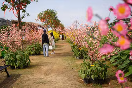 Du lịch TP. Hồ Chí Minh tăng tour, tuyến về đêm dịp Tết Nguyên đán