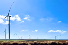 Ban hành khung giá phát điện nhà máy điện mặt trời, điện gió chuyển tiếp