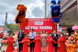 Khai trương điểm bán hàng Việt Nam tại Đak Đoa