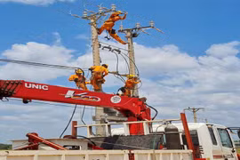 Đảm bảo cung cấp điện phục vụ Tết Nguyên đán