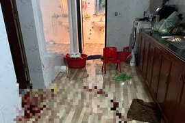 Người làm thuê chém 3 chị em thương vong ở Bắc Giang