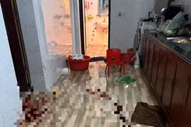 Người làm thuê chém 3 chị em thương vong ở Bắc Giang